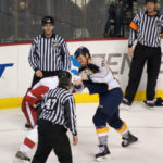 Predators Red Wings match