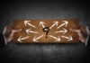Value and Potential Disadvantages of Working in a Subspecialty: A Personal View