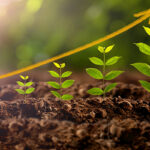 plant growing
