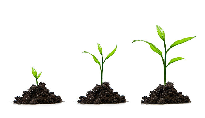 NEW! AANS Neurosurgeon STATLine