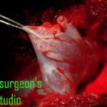 NSStudio