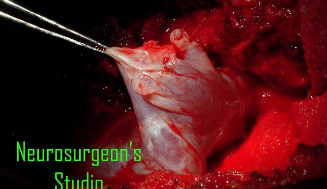 Smiley Faces Pretend to be Your Friend