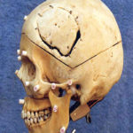 Fig2_3_rev_18
