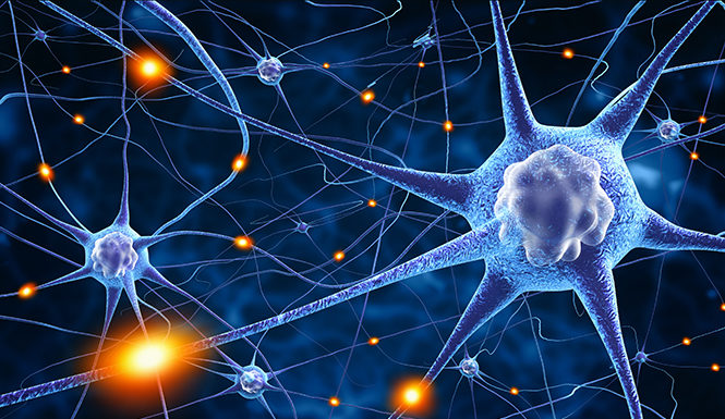 AANS Neurosurgeon STATLine