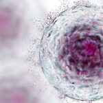 Stem Cell with protein cluster, deconstructing stem cell, dying