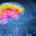 brain