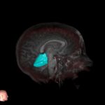 RightCanvas_05202019_14_30_56