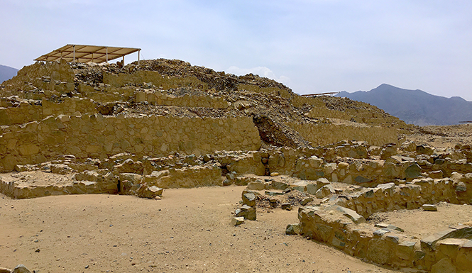 Did I Really do That?