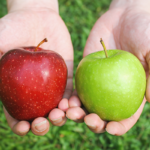 apples_compare_edited