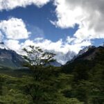 Patagonia 1 Benzil