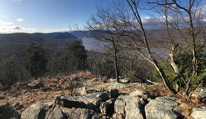 Are Neurosurgeons Special?