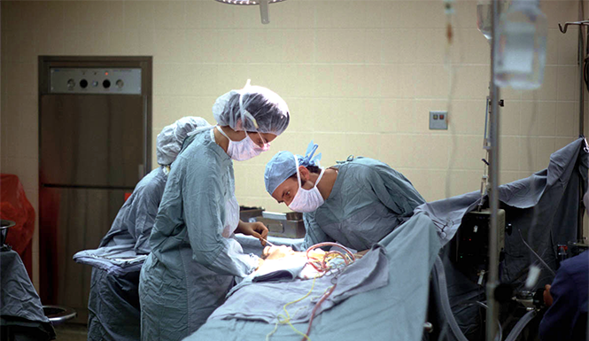 My World of Neurosurgery Part 1: In the Beginning