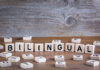 The Joy of Being Bilingual, Bicultural and Building Bridges