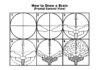 How To Draw a Brain: A Step by Step Guide